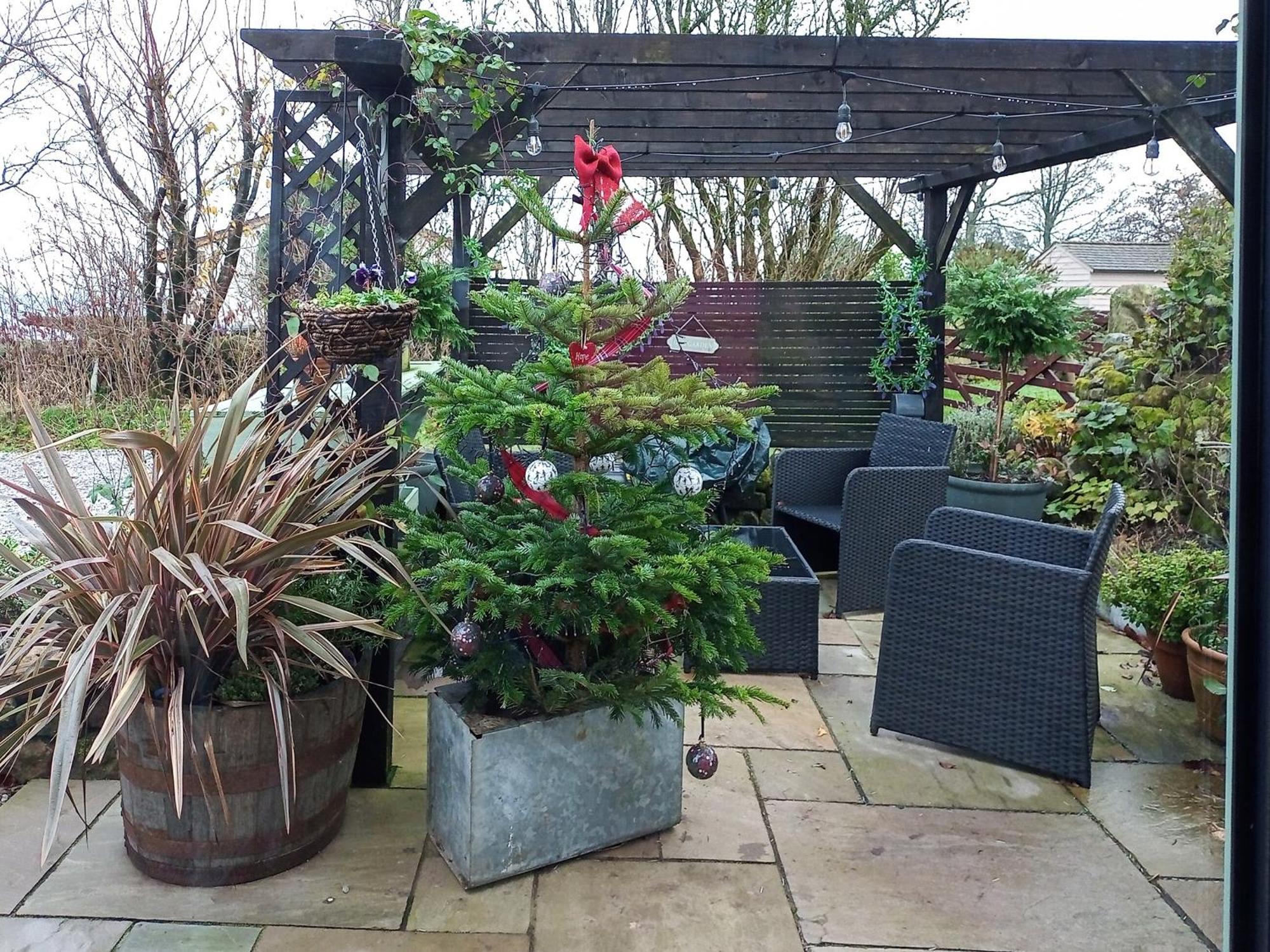 Little Pines Lodge Rushton Spencer 외부 사진